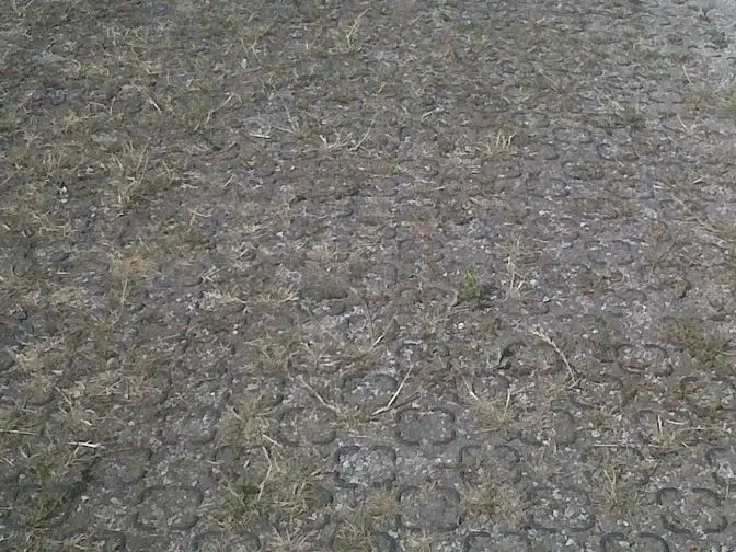 grass-grid-parking
