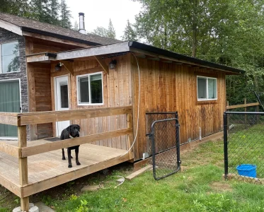 A dog stands on a porch, looking at the camera, surrounded by a fence and wooded area.