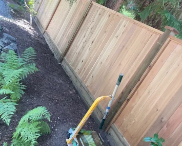 Backyard with wooden fence, garden hose, and potted plants.