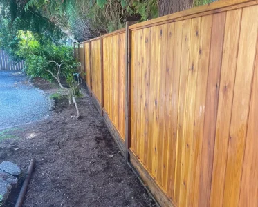 Open wooden gate in a backyard surrounded by forest